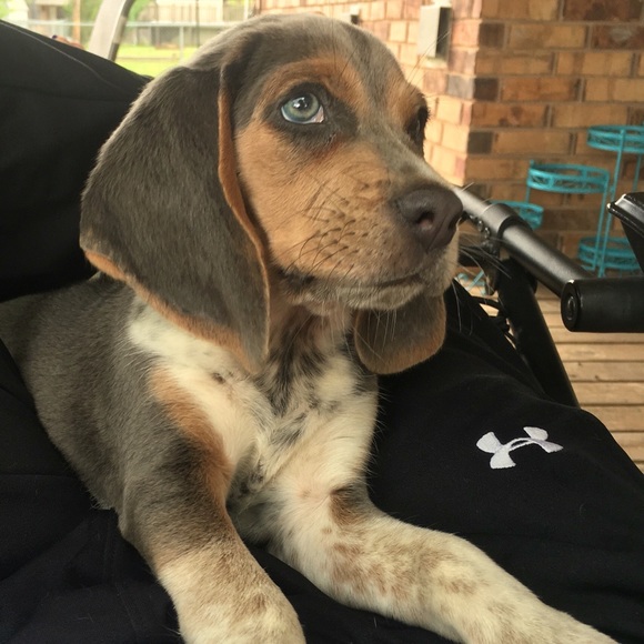 Meet your Posher, Lindsey - Picture 2 of 3